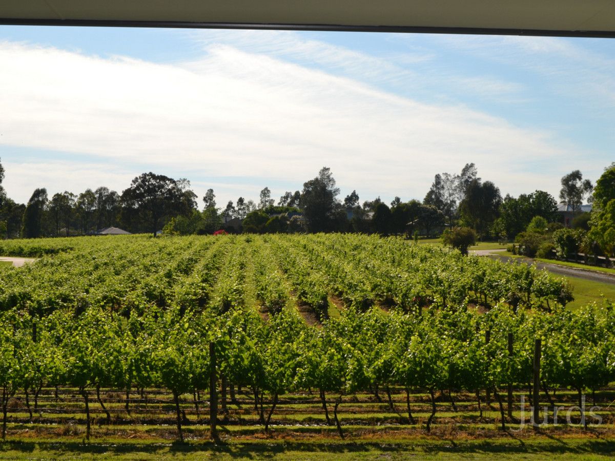 Lot 4 Kelman Vineyard, 2 Oakey Creek Road, Pokolbin NSW 2320, Image 1