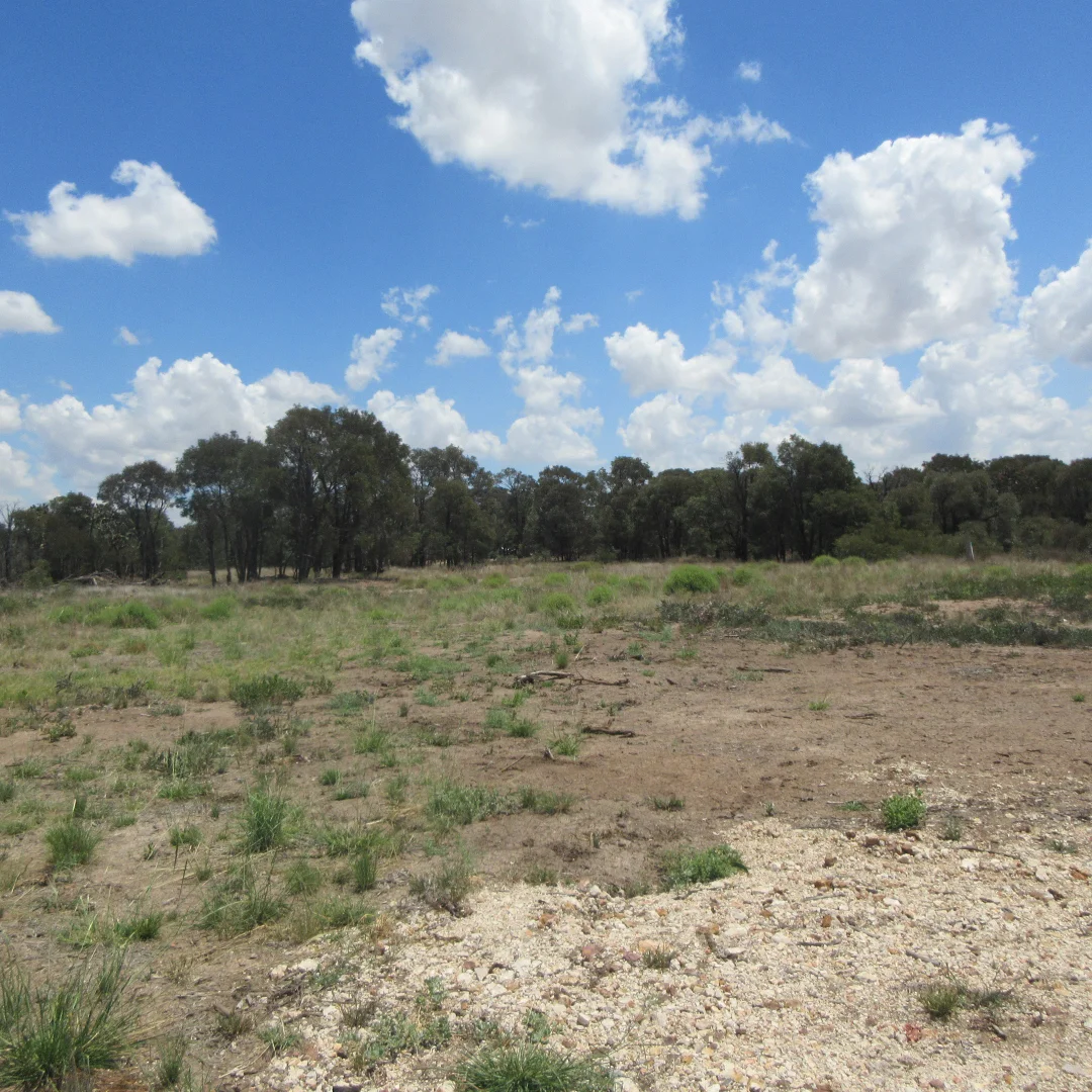 Additional image 17 of Tara QLD 4421