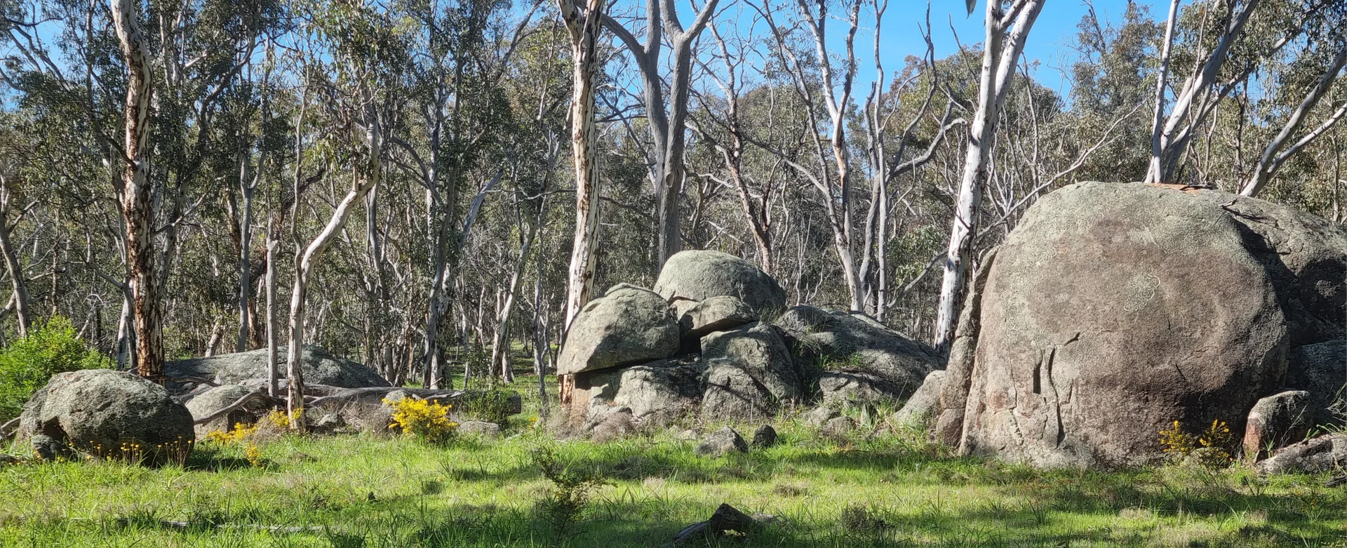 Image 34