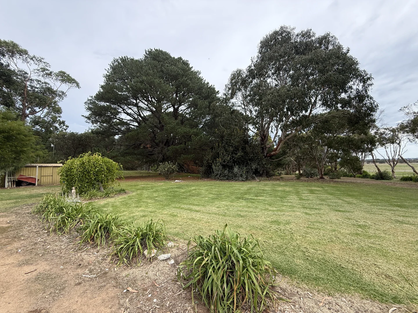 Image 15