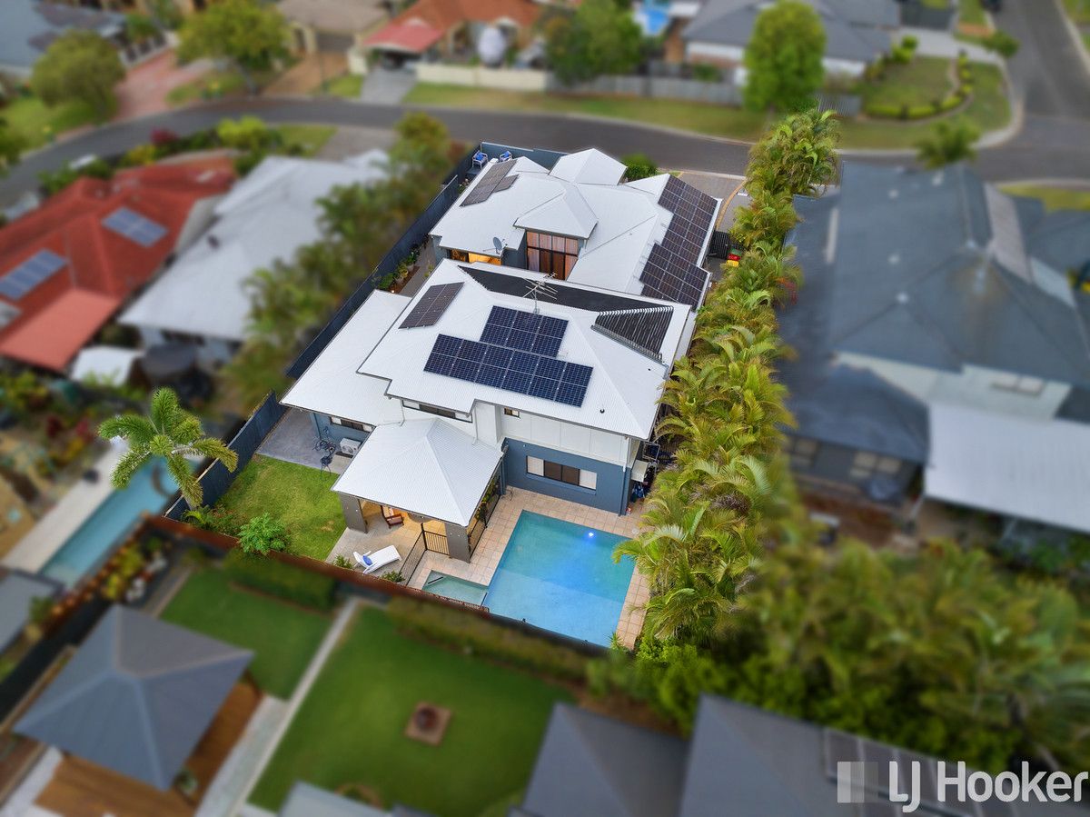 19 Ribonwood Street, Thornlands QLD 4164, Image 1