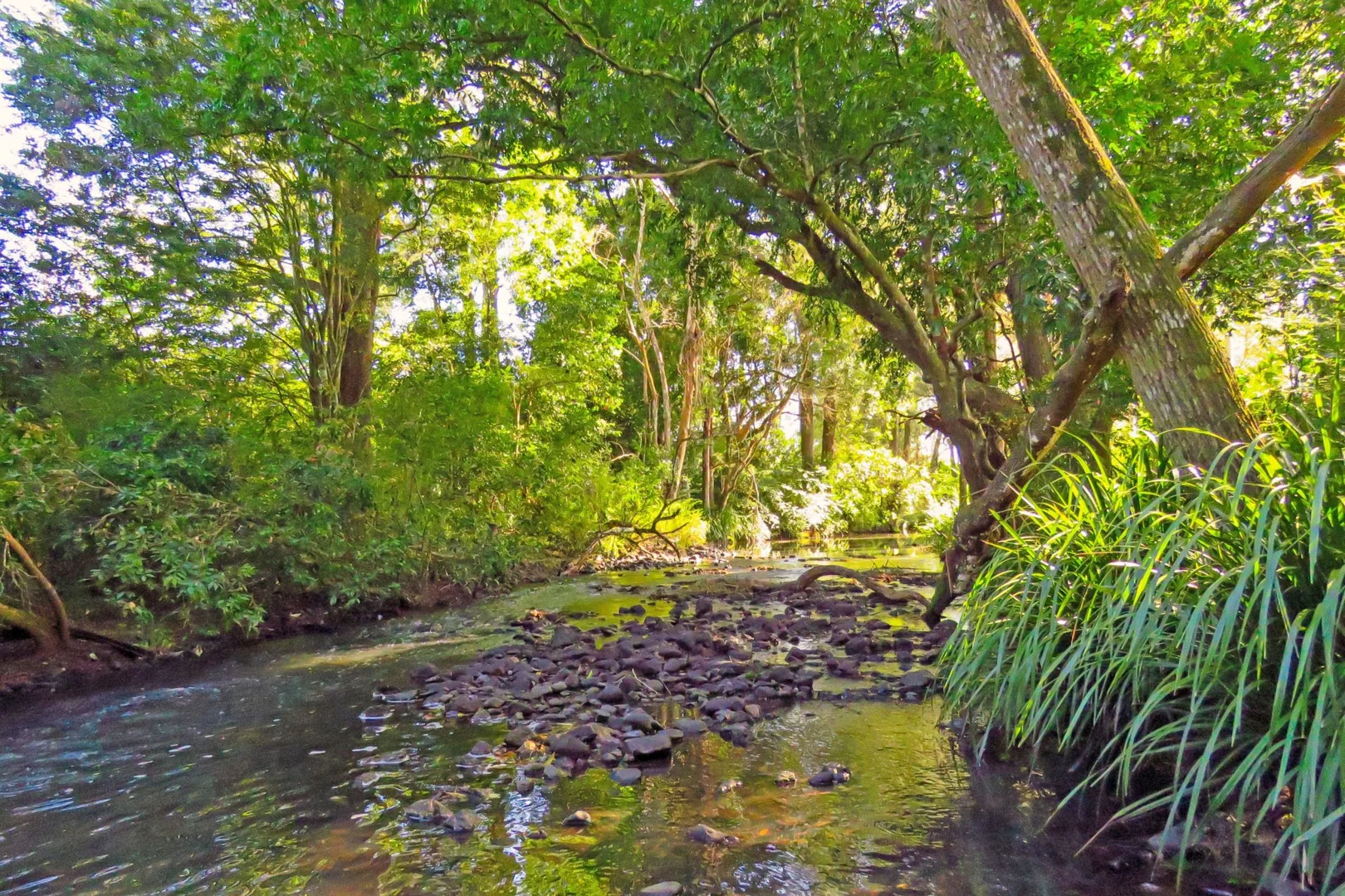 Additional image 28 of 84 Kings Creek Road, Krambach NSW 2429