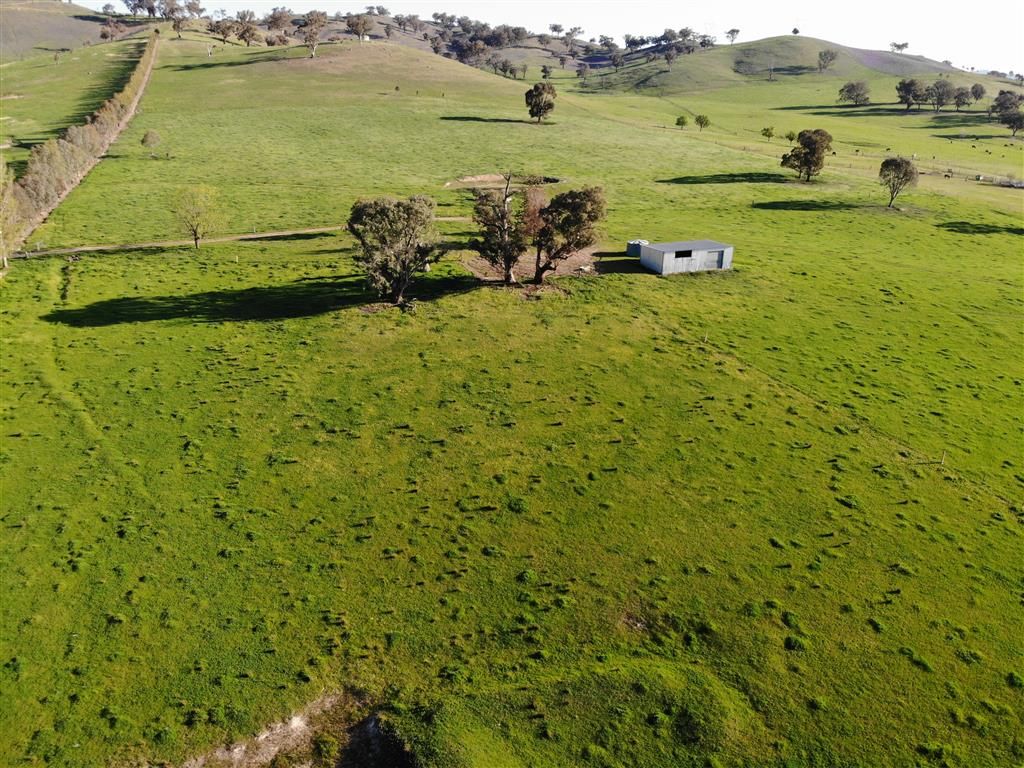 920 Bombowlee Creek Road, Tumut NSW 2720, Image 1