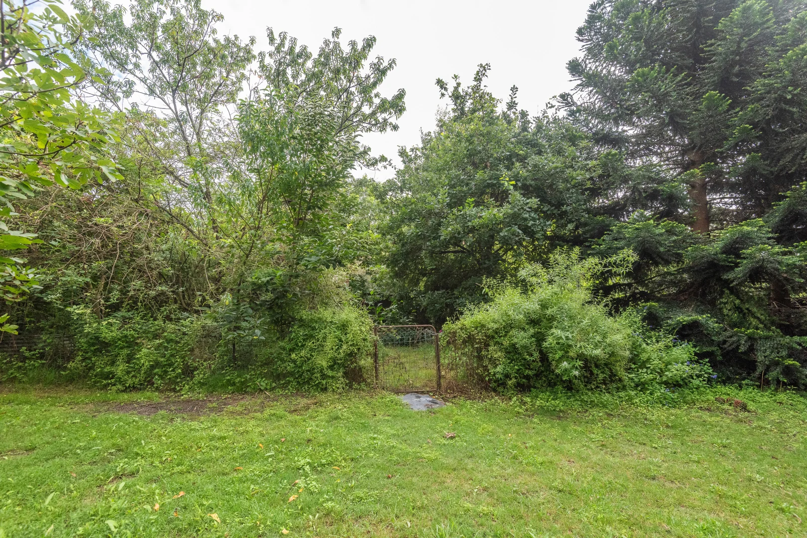 Additional image 14 of 2600 Araluen Road, Deua River Valley NSW 2537