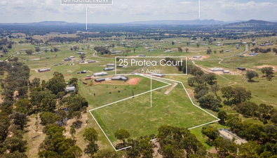 Picture of 25 Protea Court, JINDERA NSW 2642