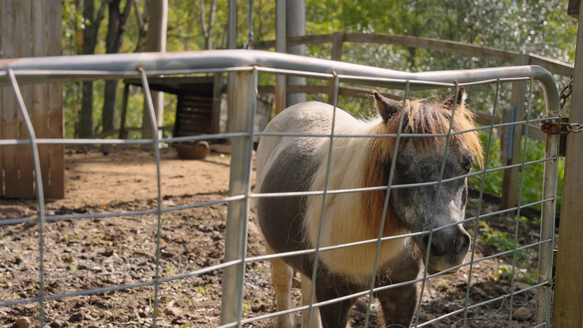 Additional image 25 of 119-125 Murray Grey Drive, Tamborine QLD 4270