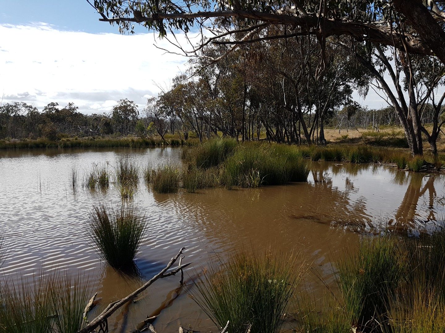 Lot 28 Mosquito Creek Road, Mosquito Creek QLD 4387, Image 0