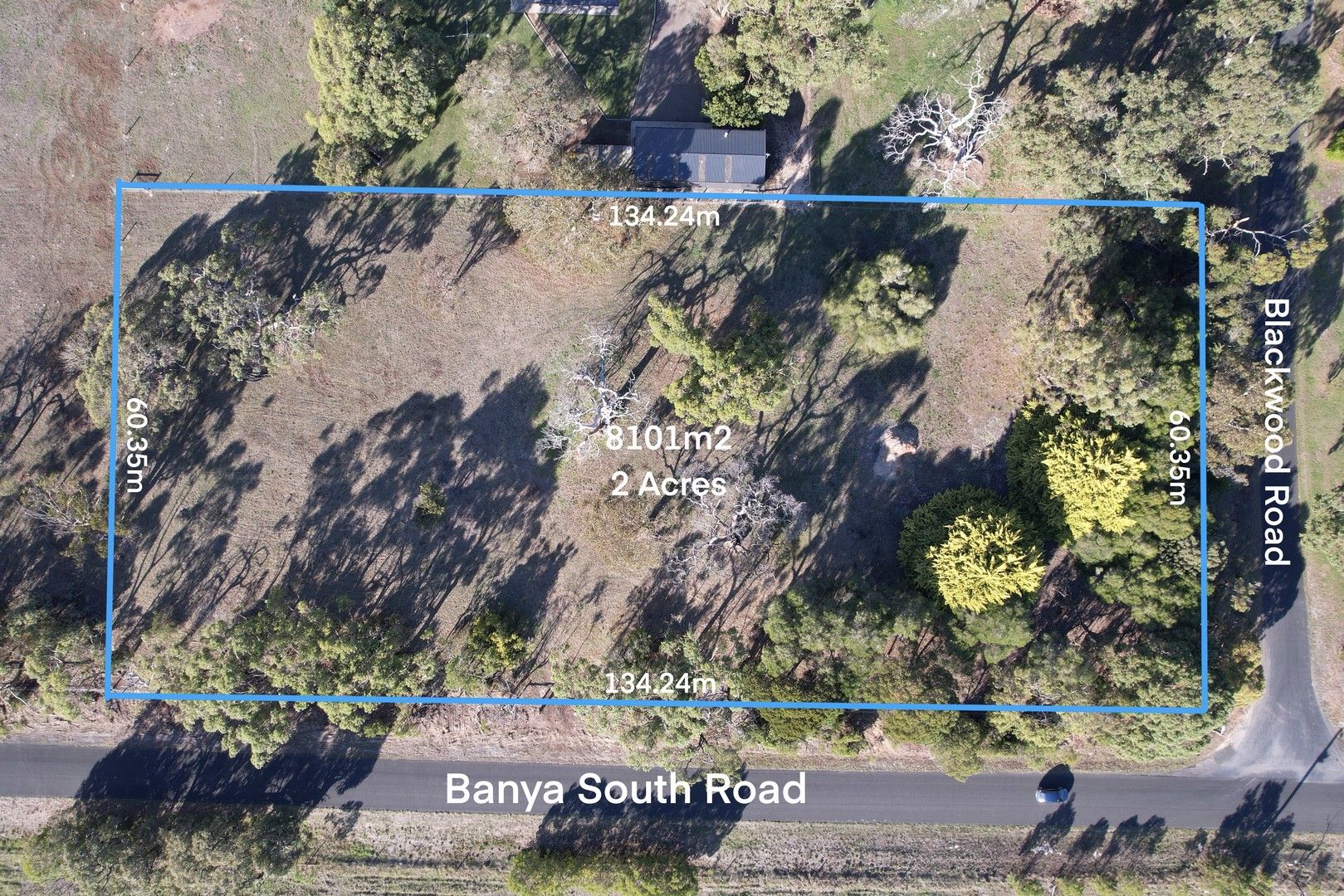51 Corner of Blackwood Road and Banya South Road, Millicent SA 5280, Image 1
