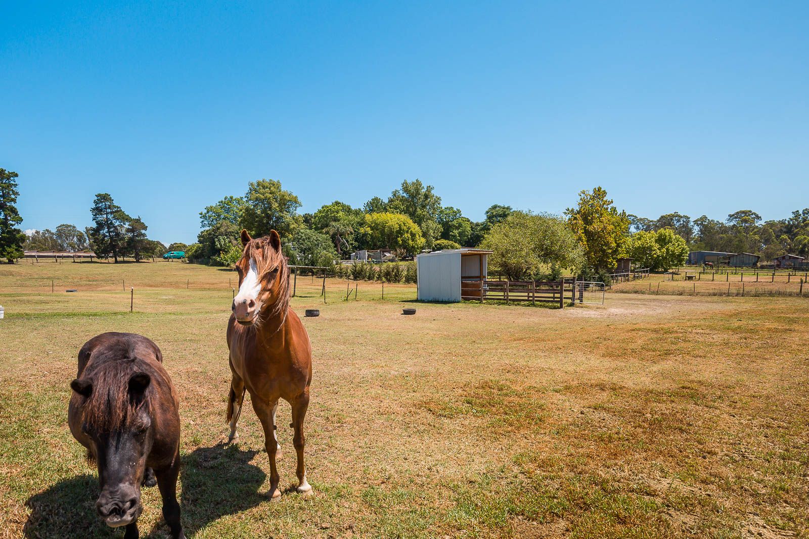 24 Reynolds Road, Londonderry NSW 2753, Image 0