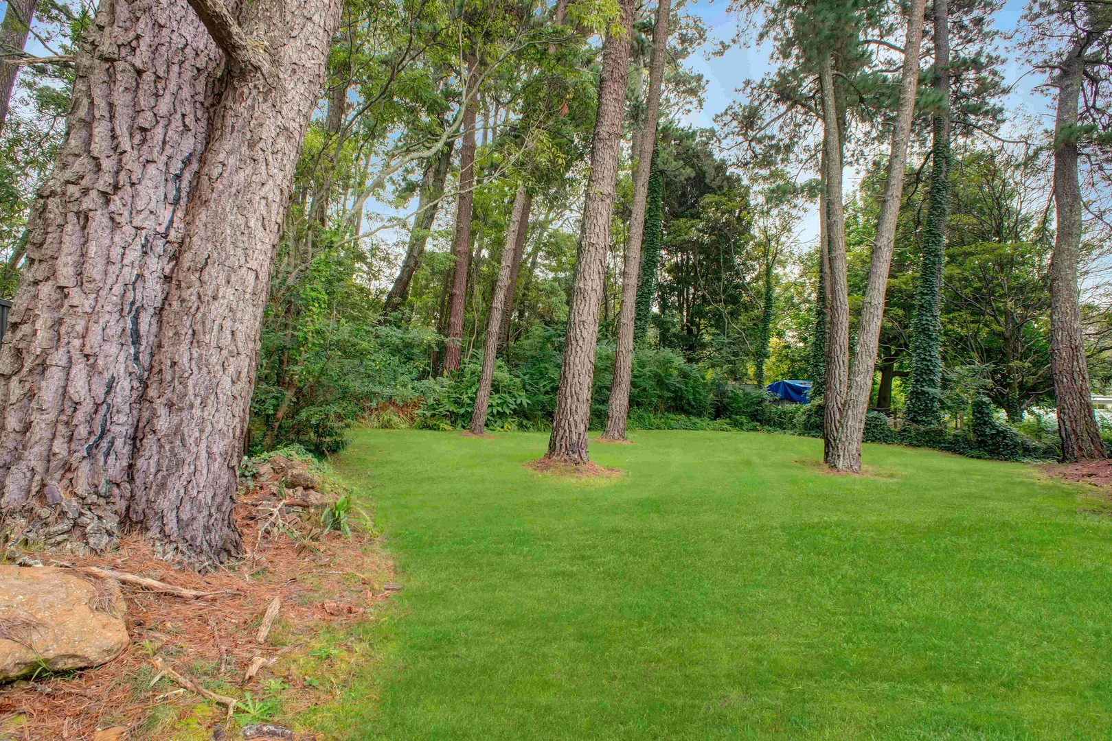 Additional image 11 of 6 De Quency Road, Bullaburra NSW 2784