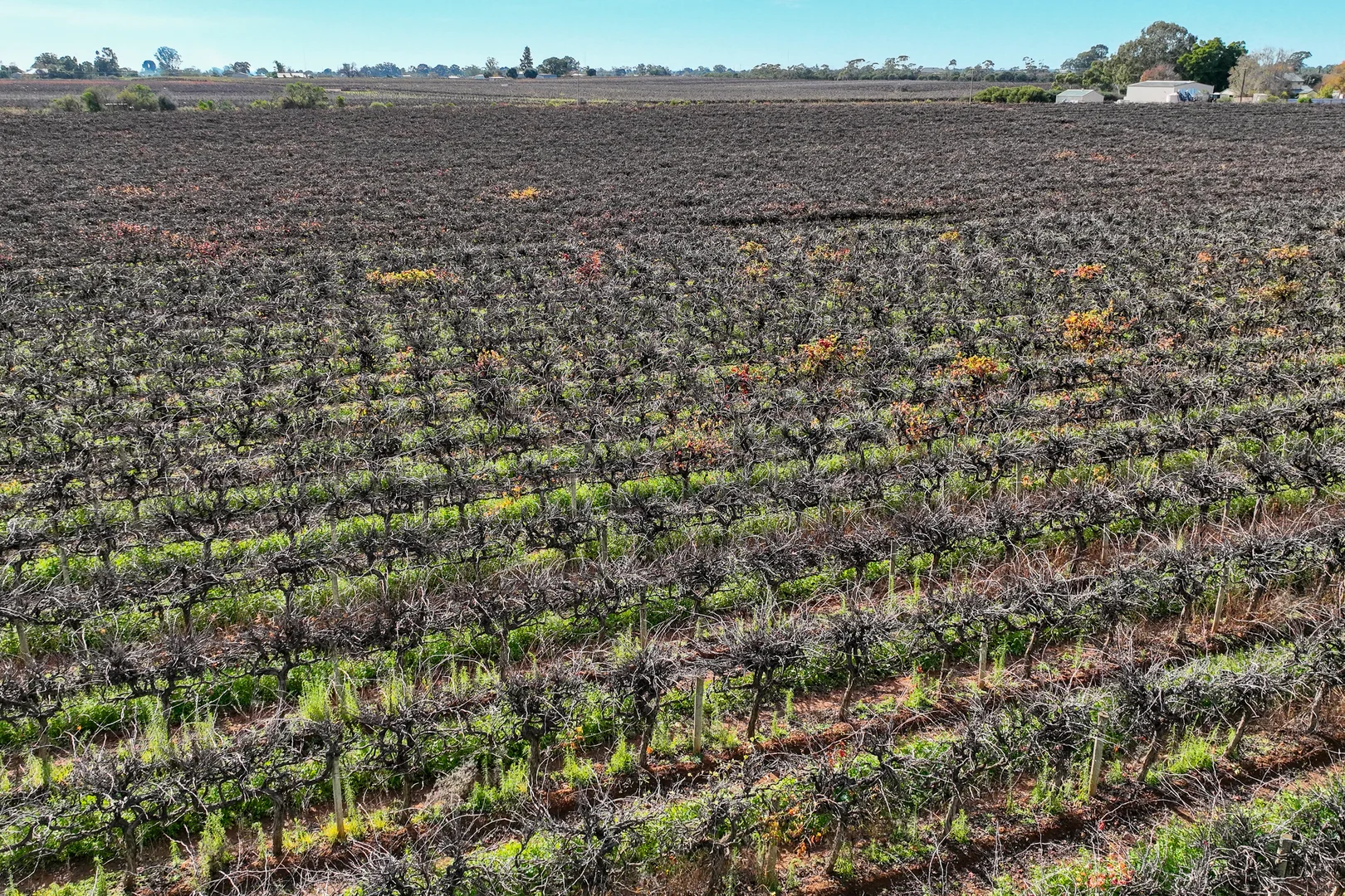 Image 11