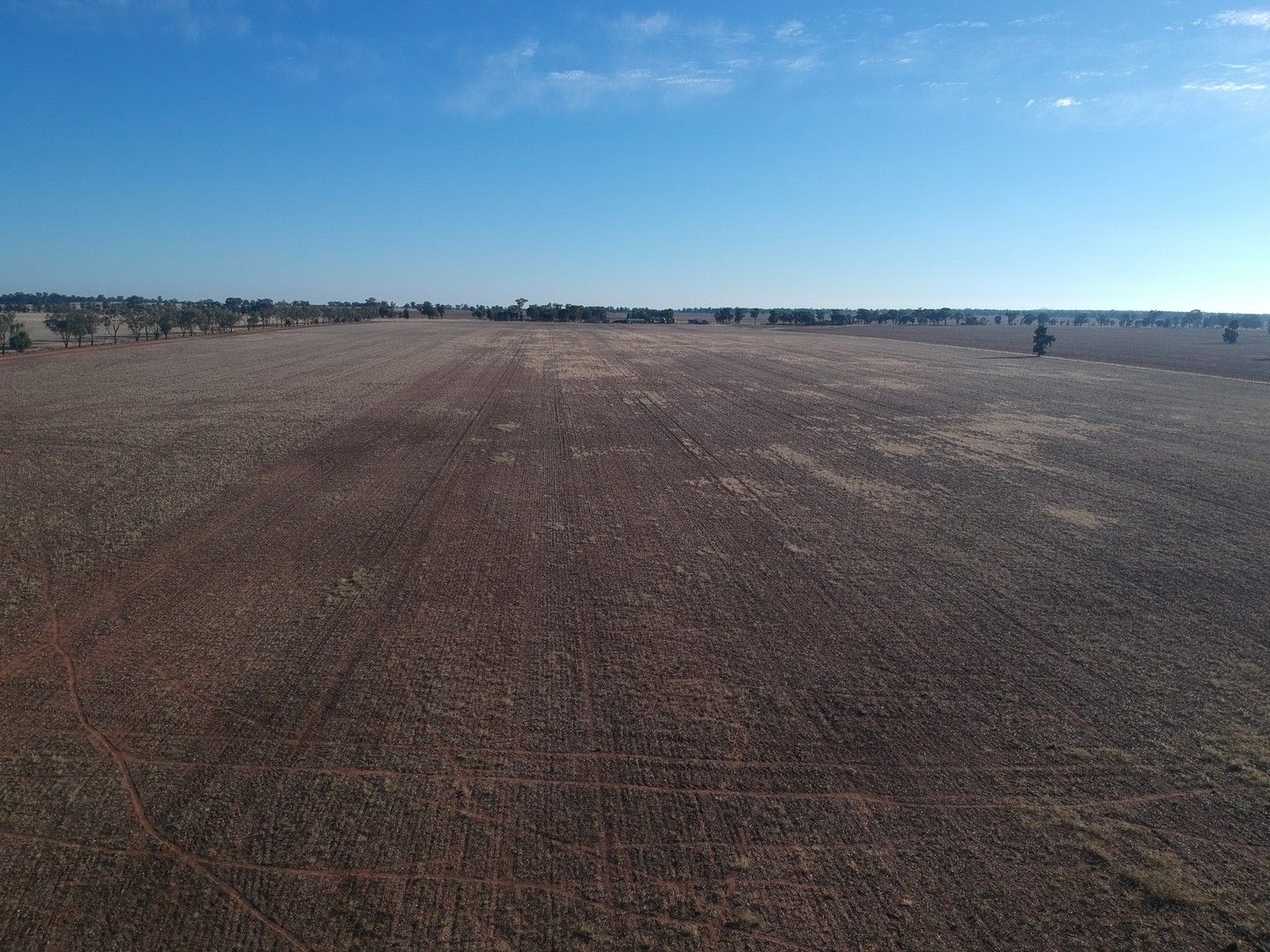 795 YOUNGA PLAINS RD, West Wyalong NSW 2671 Specialist Farm for Sale