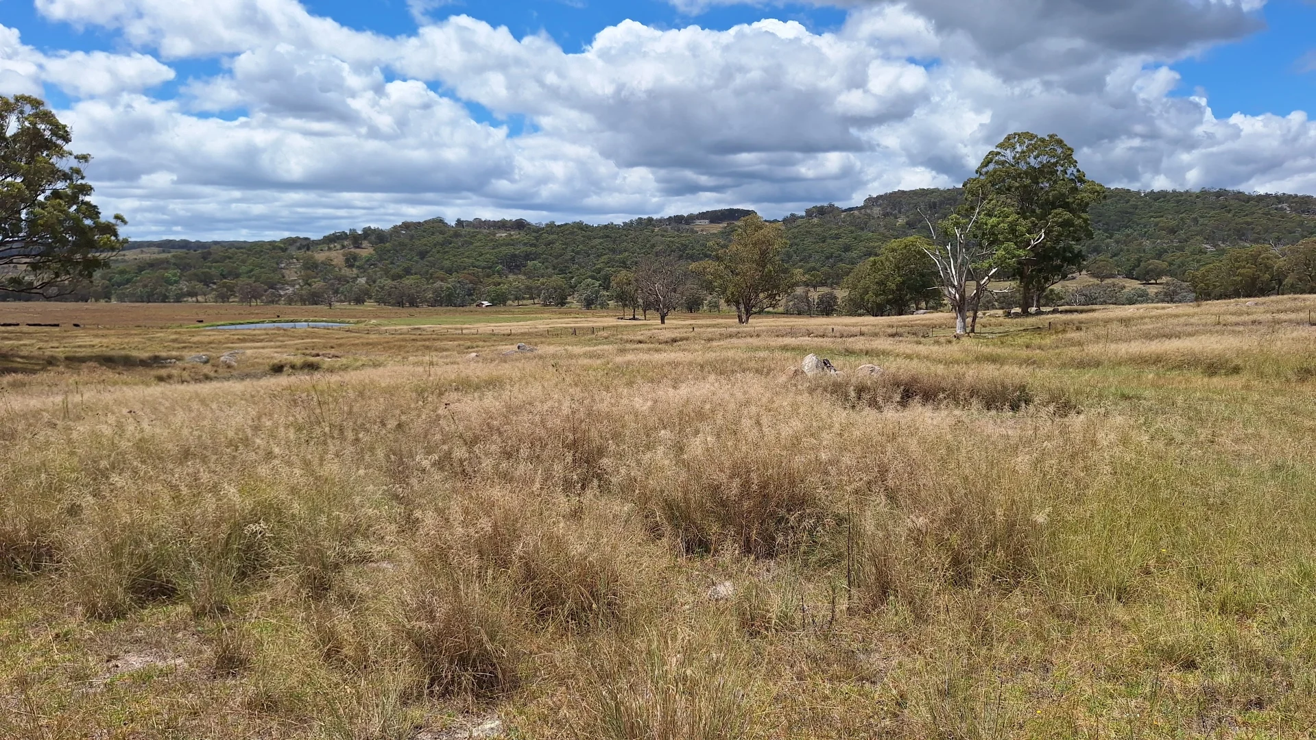 Additional image 8 of Eukey QLD 4380
