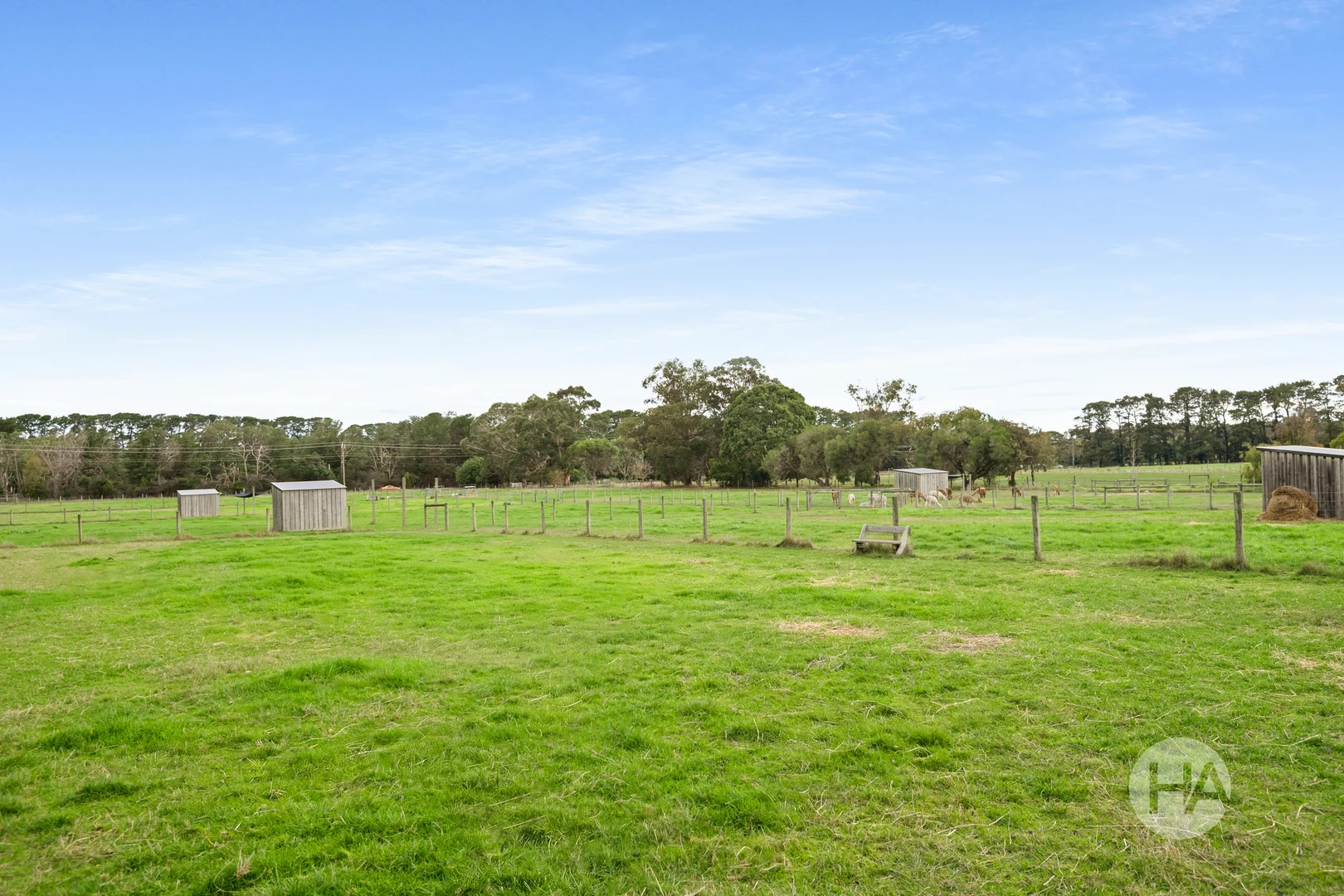 Image 13