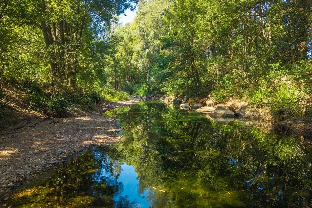 Additional image 4 of 728 Misssabotti Road, Missabotti NSW 2449