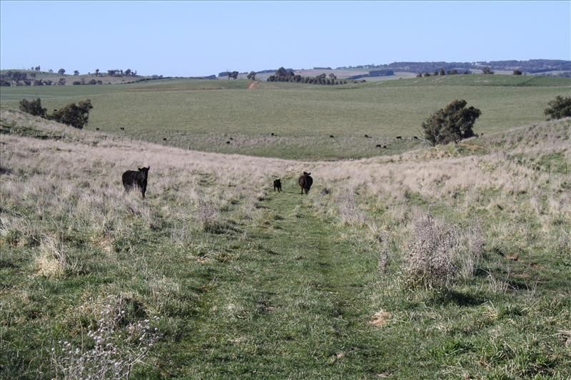 Barry Road, Barry NSW 2799, Image 1