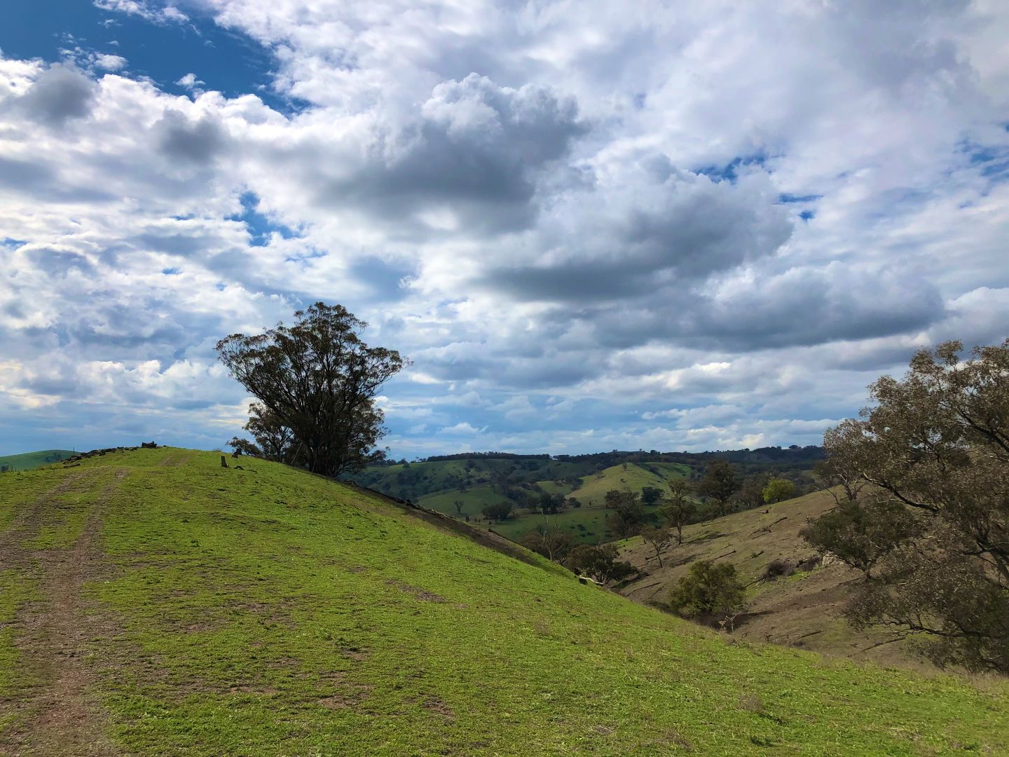 Lot 3 Mount McDonald Road, Wyangala NSW 2808, Image 2