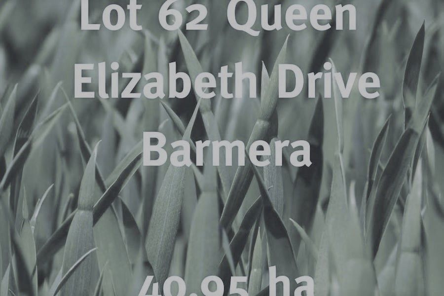 Lot 62 Queen Elizabeth Drive, Barmera SA 5345