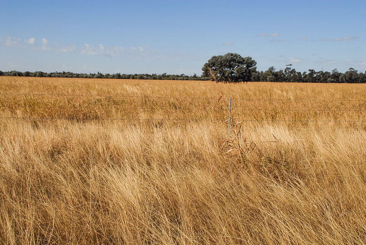 Meandarra QLD 4422, Image 2