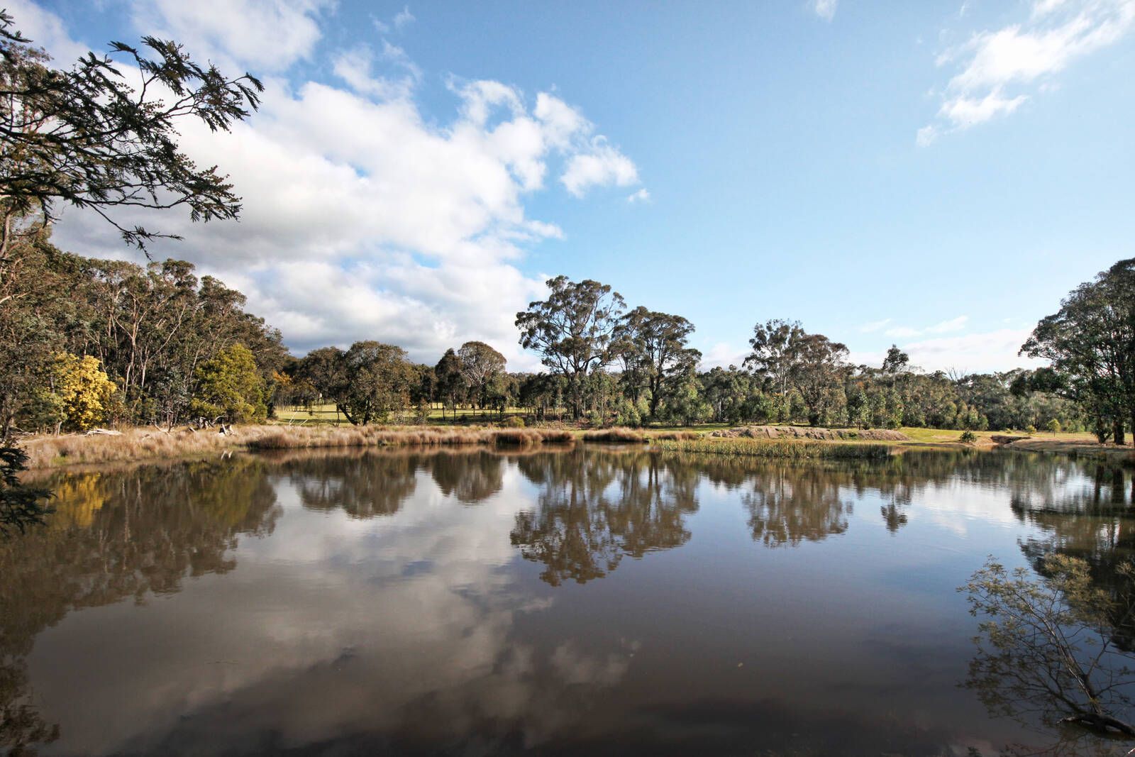 Lot 1 Hennerbergs Road, Cobaw VIC 3442, Image 1