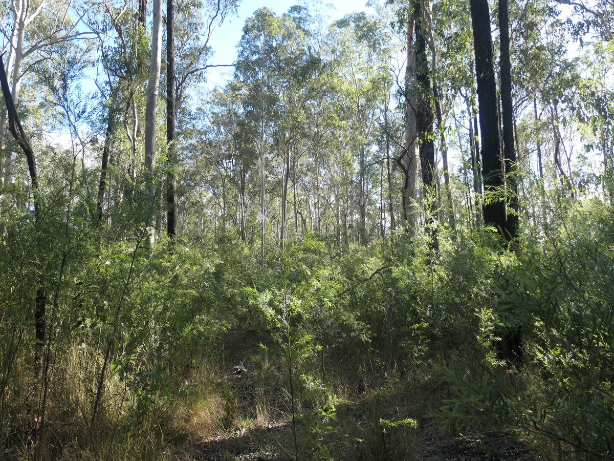 1 Cheviot Hills Road, Drake NSW 2469 House for Sale 220,000