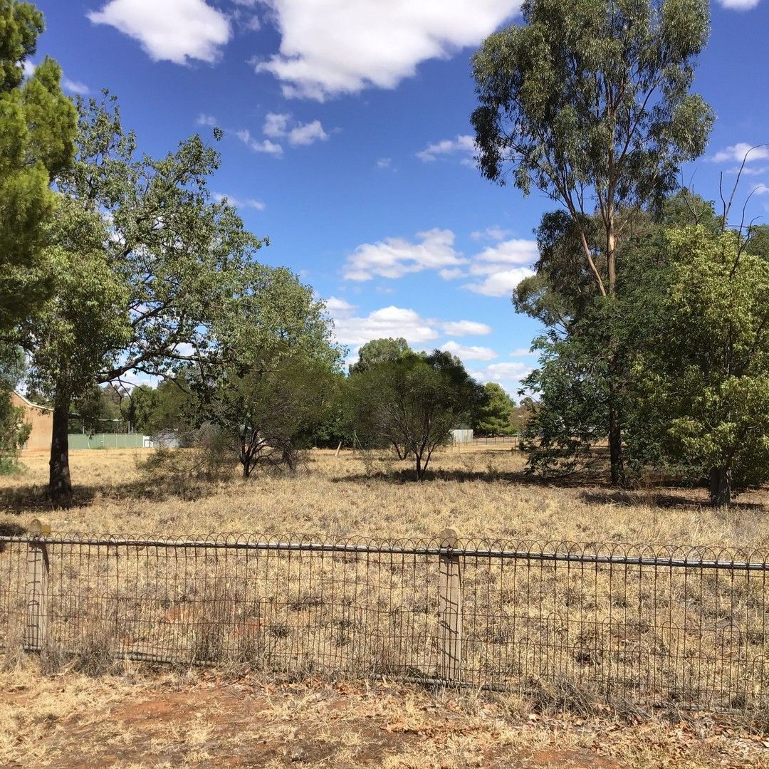 Lot 4 Lachlan Street, Boree Creek NSW 2652 Domain