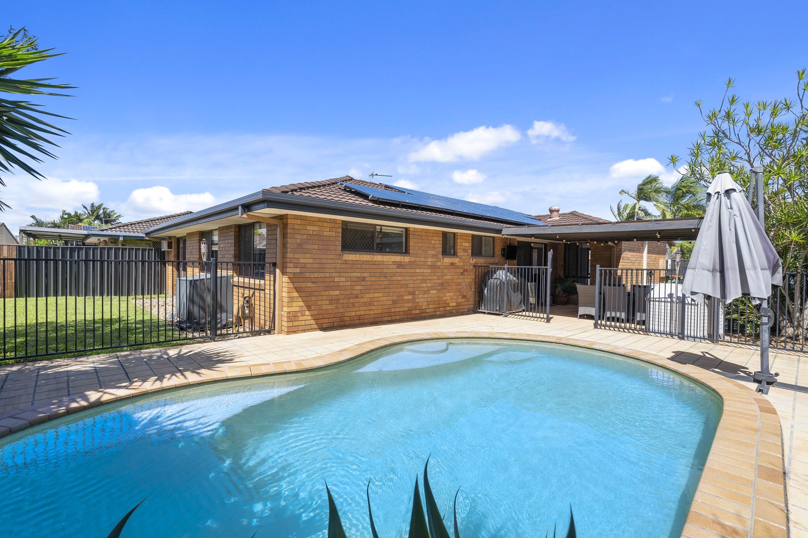 11 Pascali Court, Varsity Lakes QLD 4227, Image 1