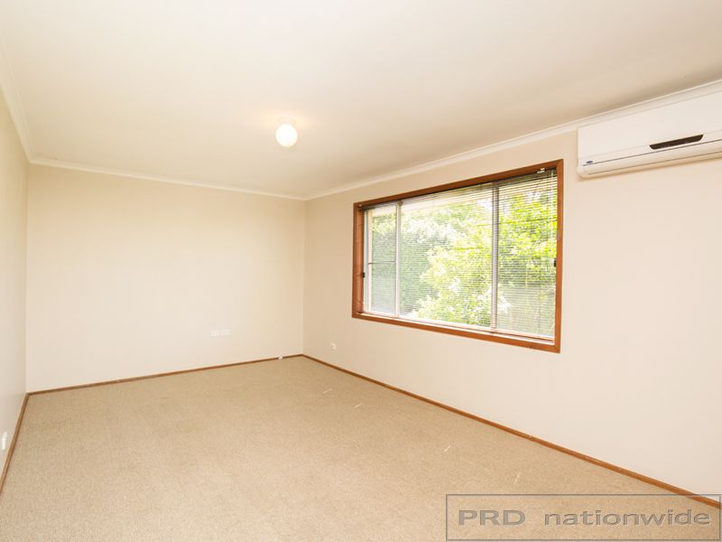 20a Stronach Avenue, East Maitland NSW 2323, Image 1