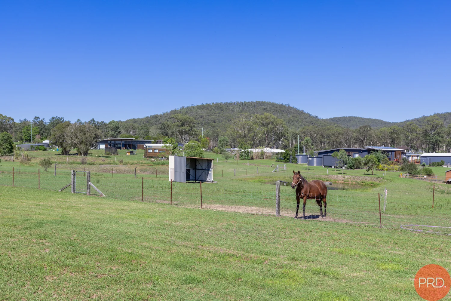 Image 29