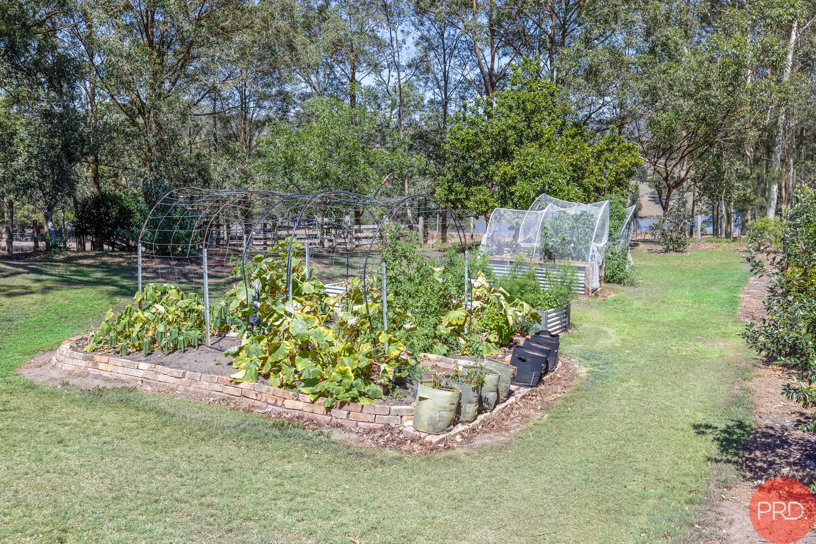 Image 26
