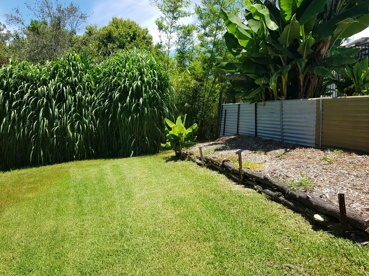 Image 20