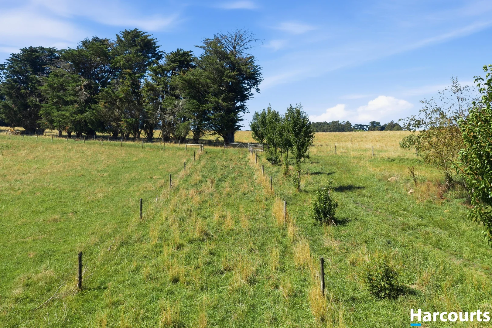 Additional image 11 of 8 Stubbers Lane, Mirboo North VIC 3871