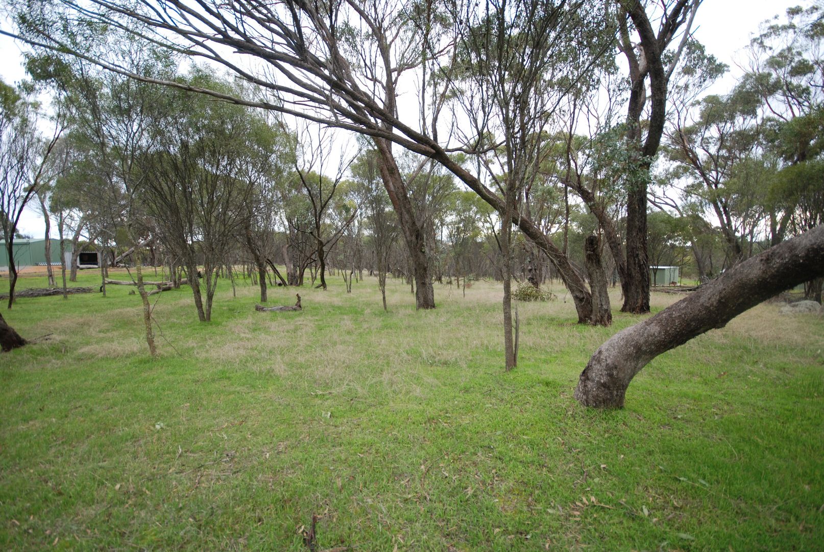 Lot 136 Brundell Street, Cuballing WA 6311, Image 2