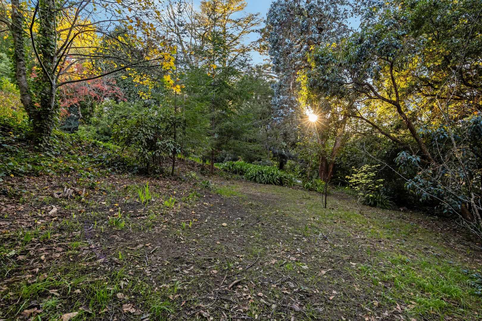 Image 33