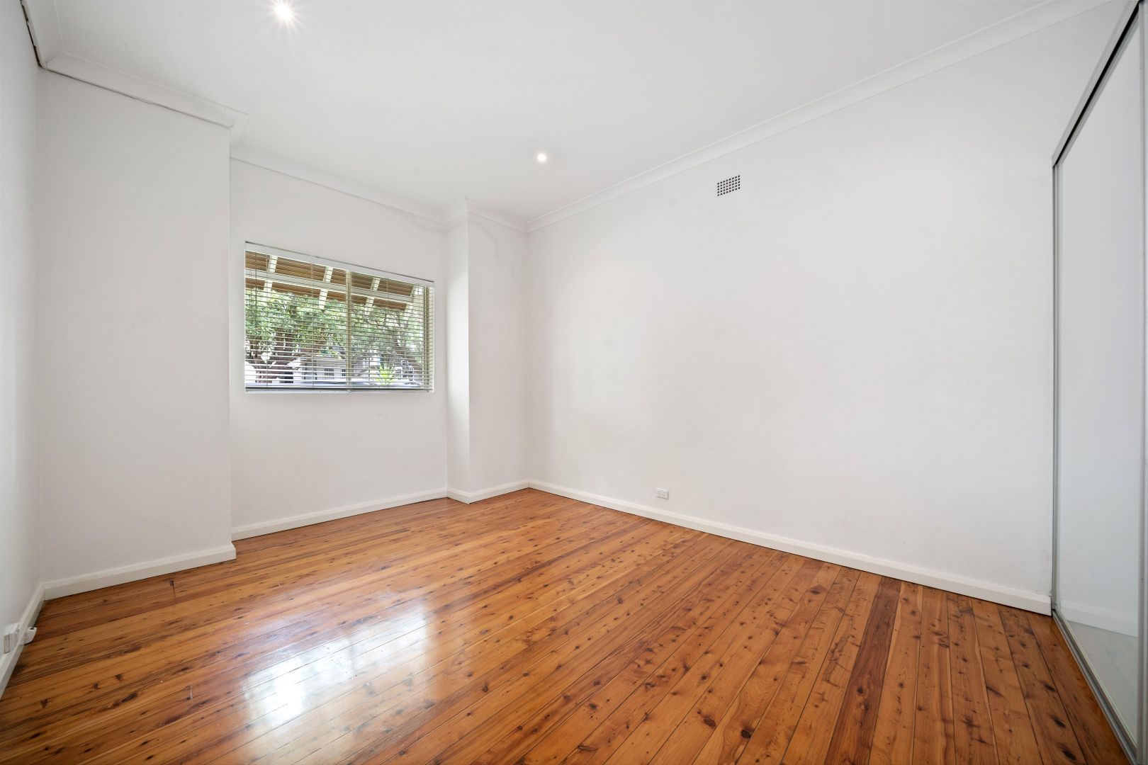 54 Albert Street, Leichhardt NSW 2040, Image 2