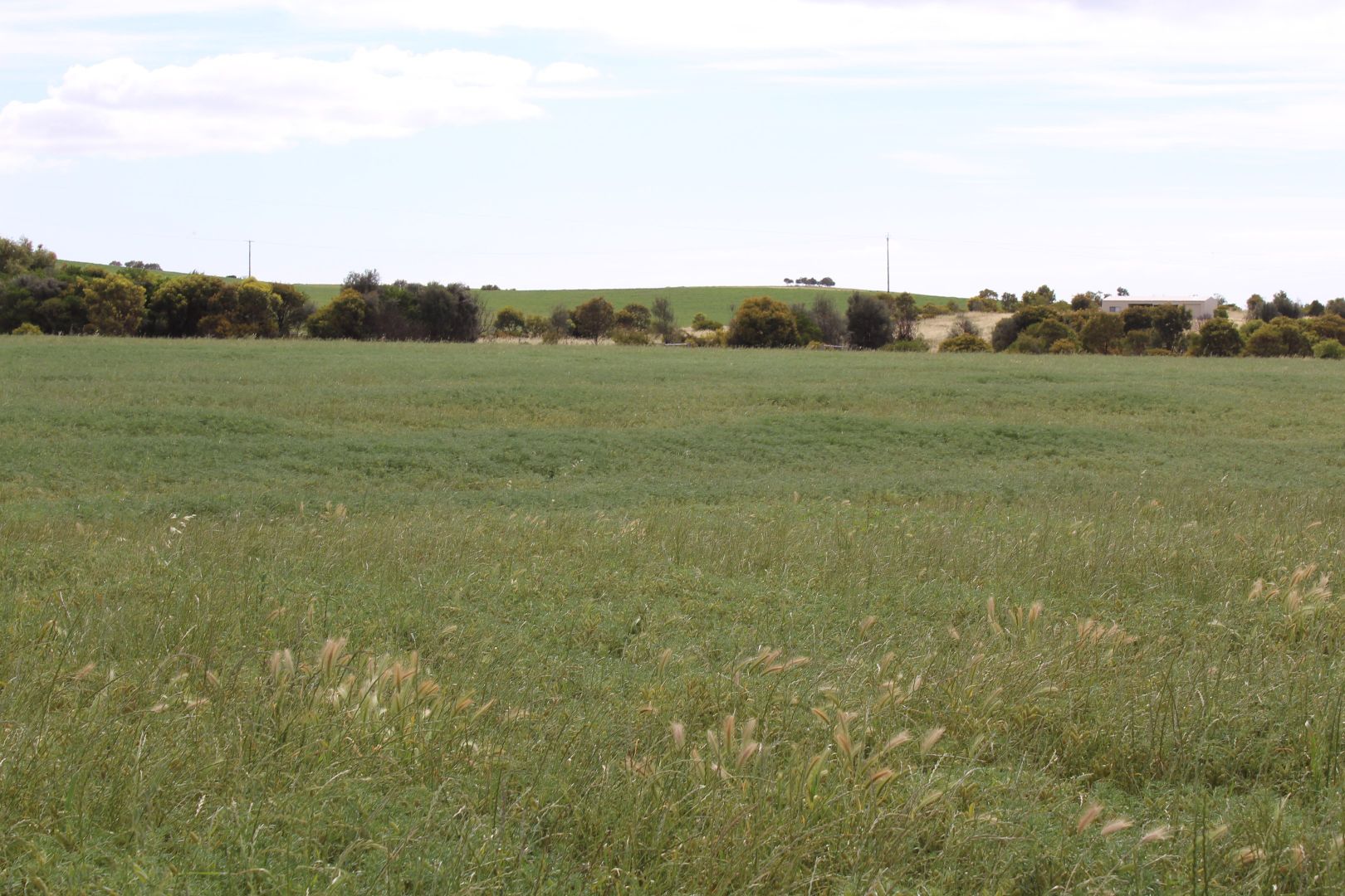 Allotment 4 Bawdens Road, Tumby Bay SA 5605, Image 1