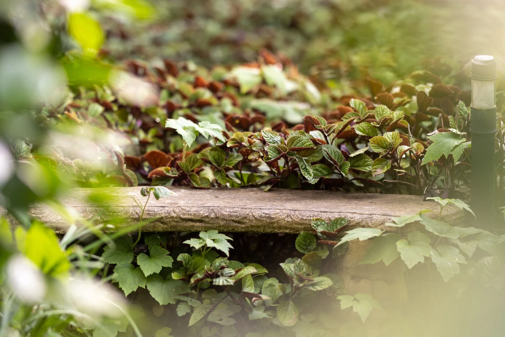 Additional image 6 of 1/60 Clowes Street, South Yarra VIC 3141