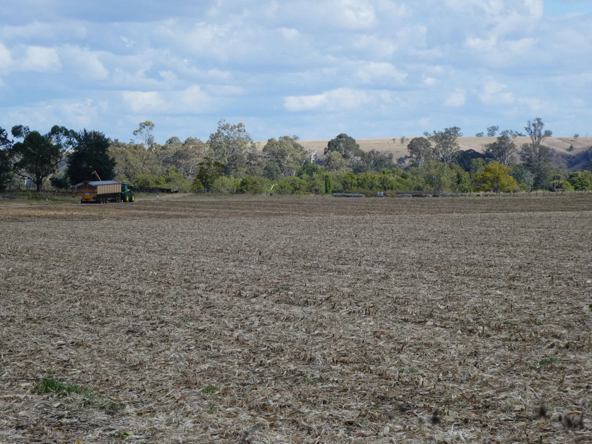 Image 15