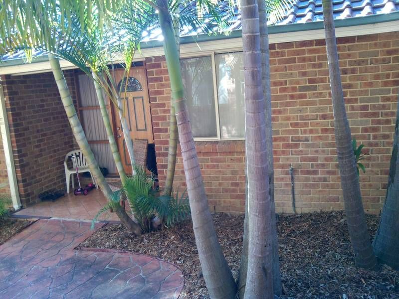 2/5 Bellwood Close, TUGGERAH NSW 2259, Image 1