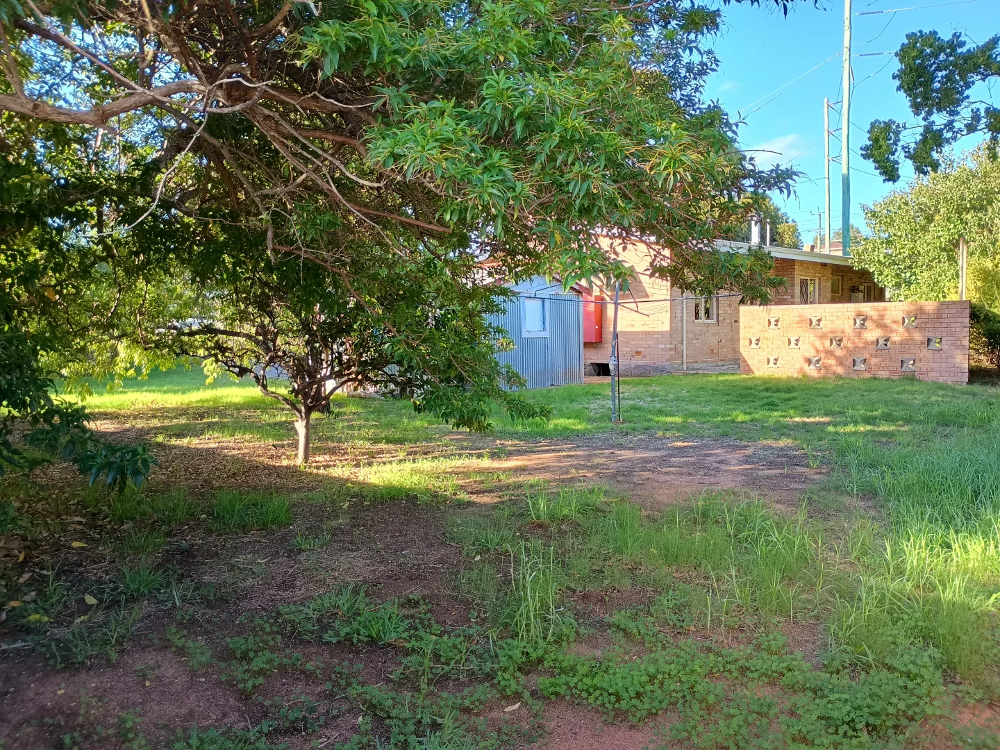 Image 10