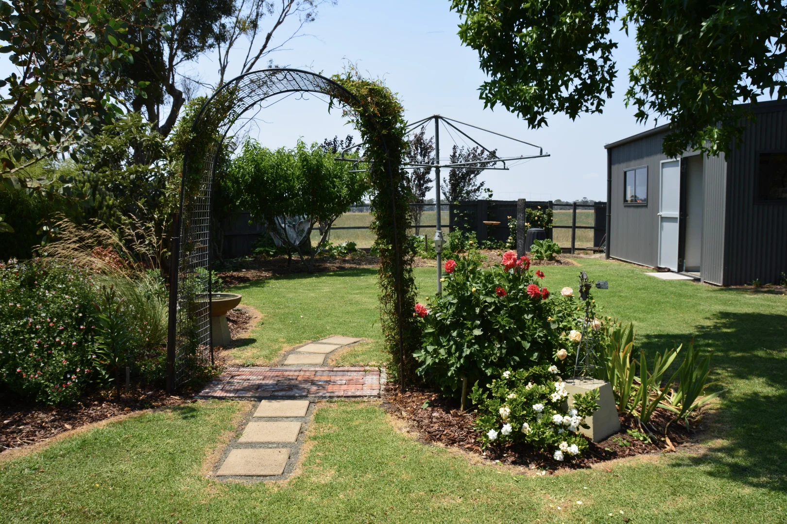 Image 12