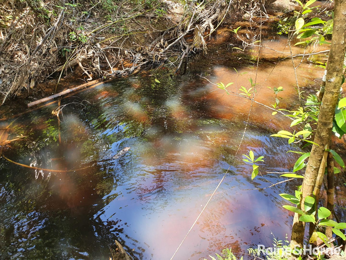 Lot 249 White Beech Road, Cow Bay, Daintree QLD 4873, Image 1