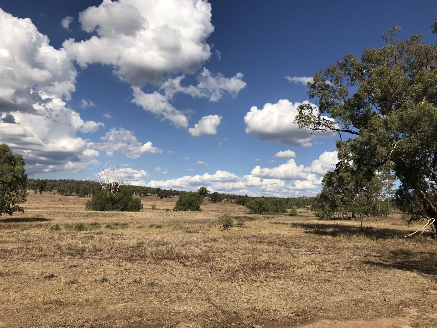 Karara QLD 4352, Image 1