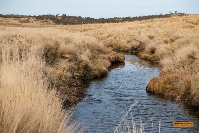 "Letter Creek" 1252 Barry Way, Moonbah NSW 2627, Image 1