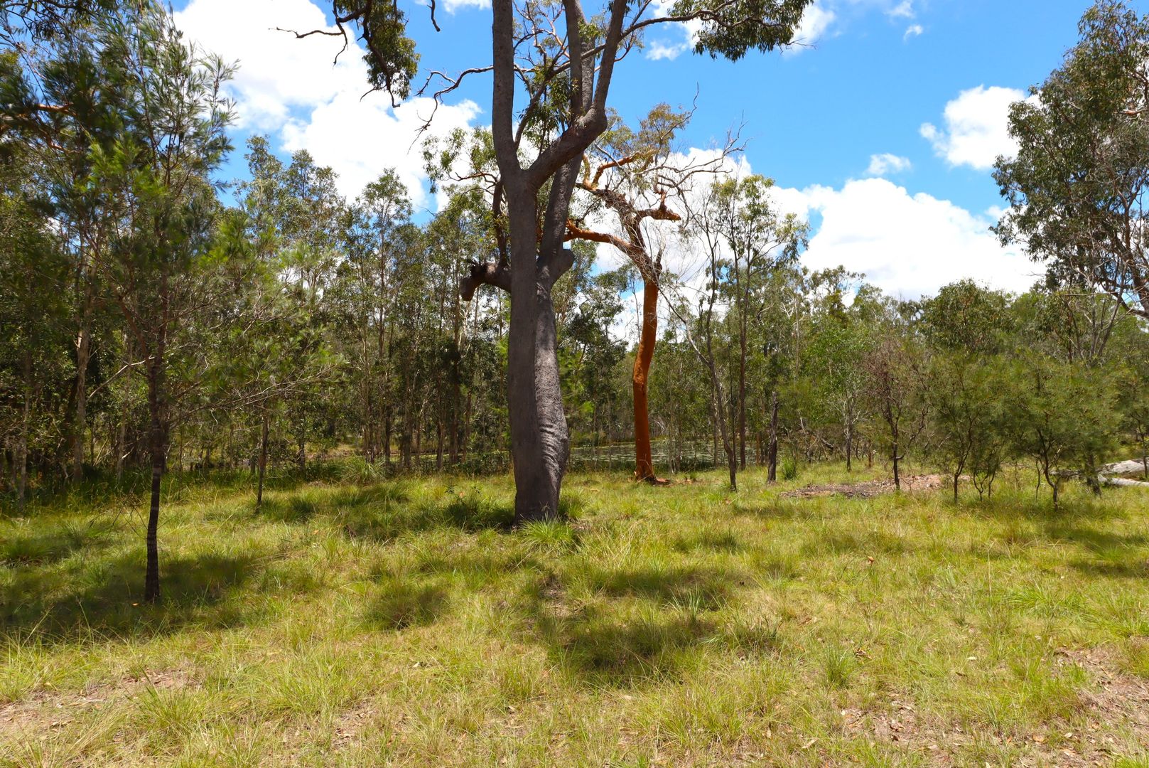 1284 Buxton Rd, Buxton QLD 4660, Image 1