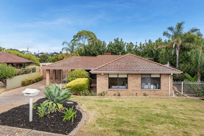 Picture of 6 Scarvell Avenue, TROTT PARK SA 5158