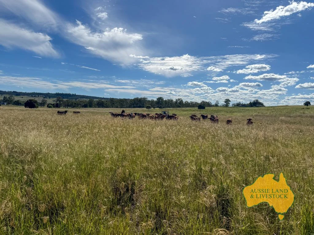 Additional image 9 of 268 Back Creek Road, Stalworth QLD 4613