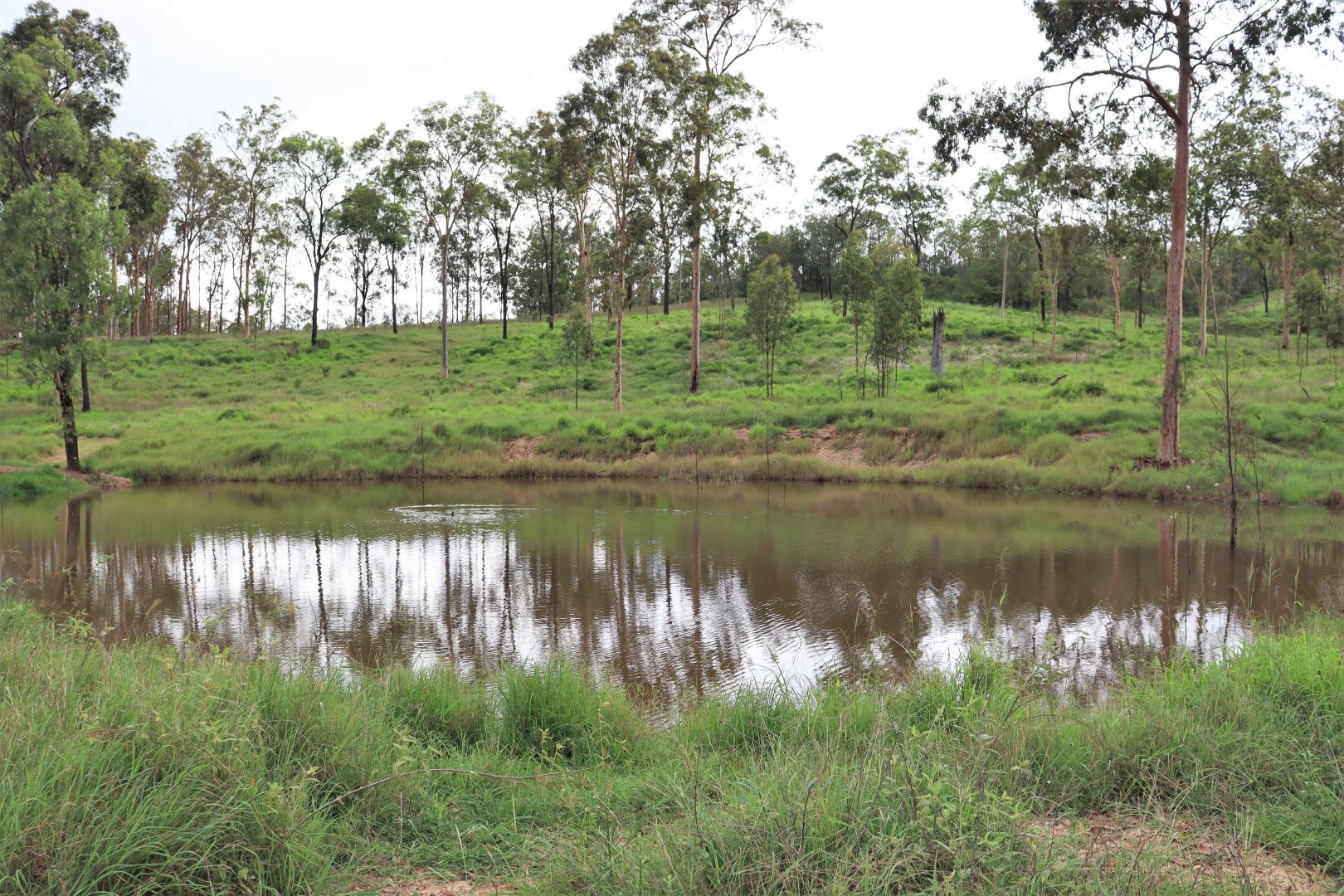 18 Twidales Road, Helidon Spa QLD 4344 Vacant Land for Sale