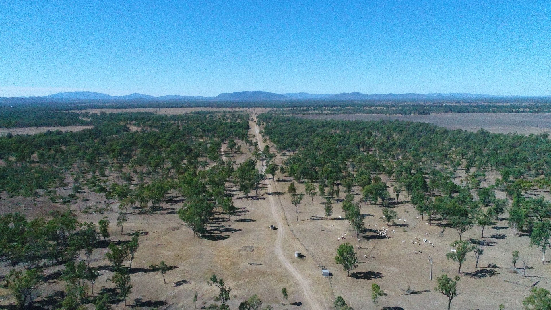 79 AIRSTRIP ROAD, Nebo QLD 4742, Image 0