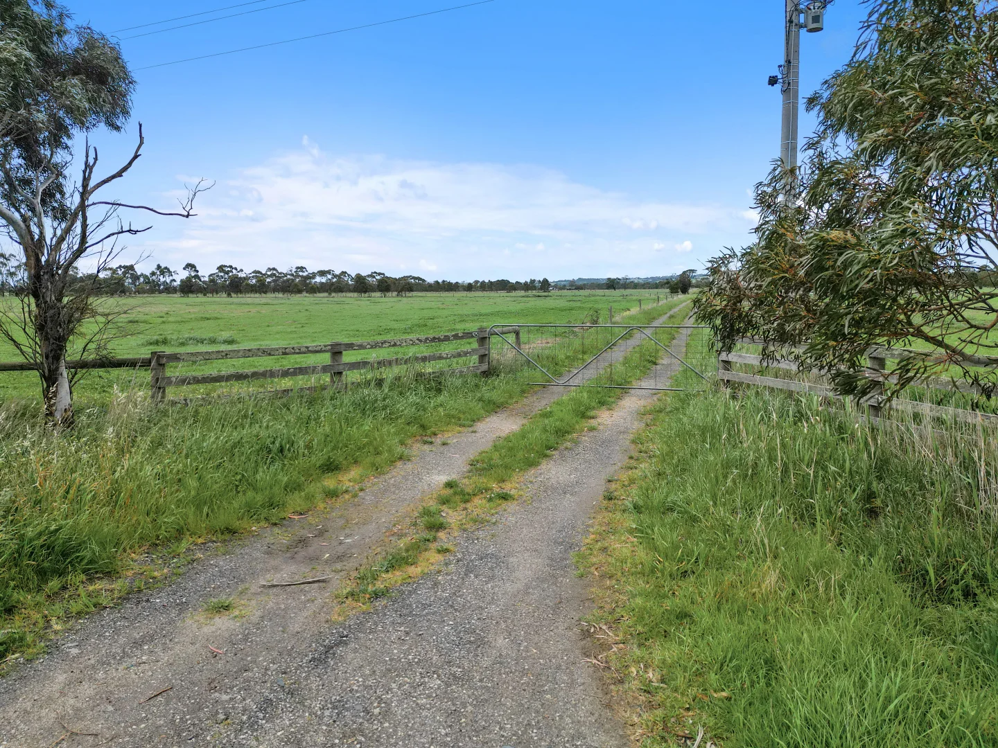 Image 16